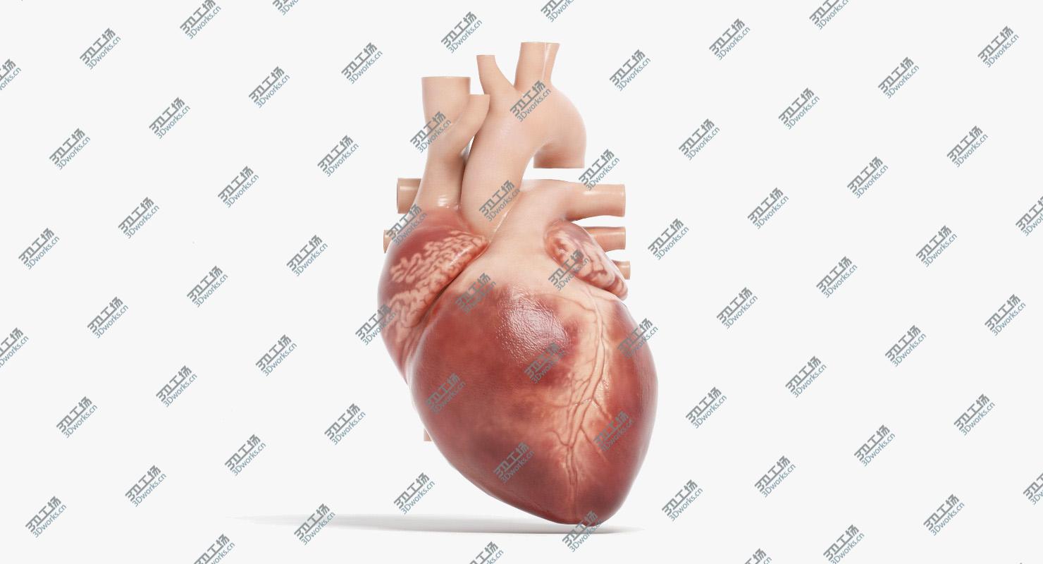 images/goods_img/20210113/3D Human Heart Animated (Pro Version)/2.jpg